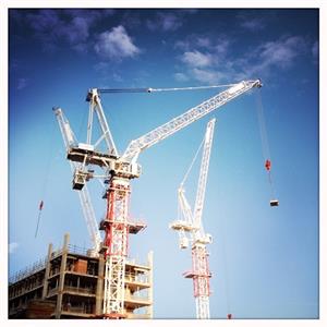 crane_appraisal-1